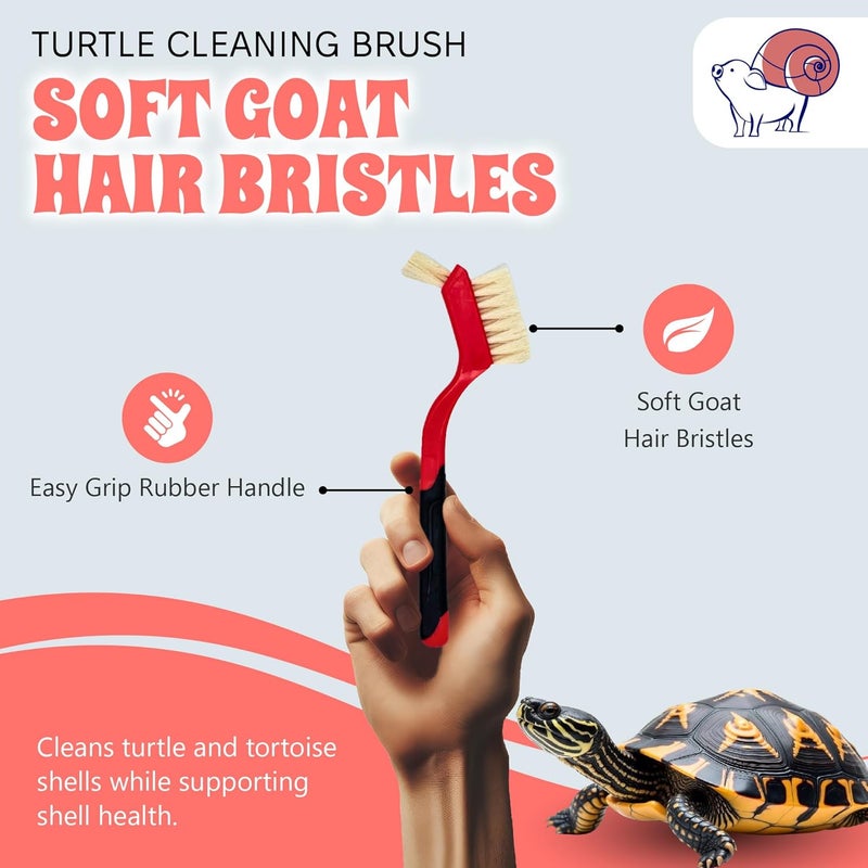 Snout and Shell Turtle Cleaning Brush - Gently Remove Dirt from Turtles and Tortoises - Red by - Image 2